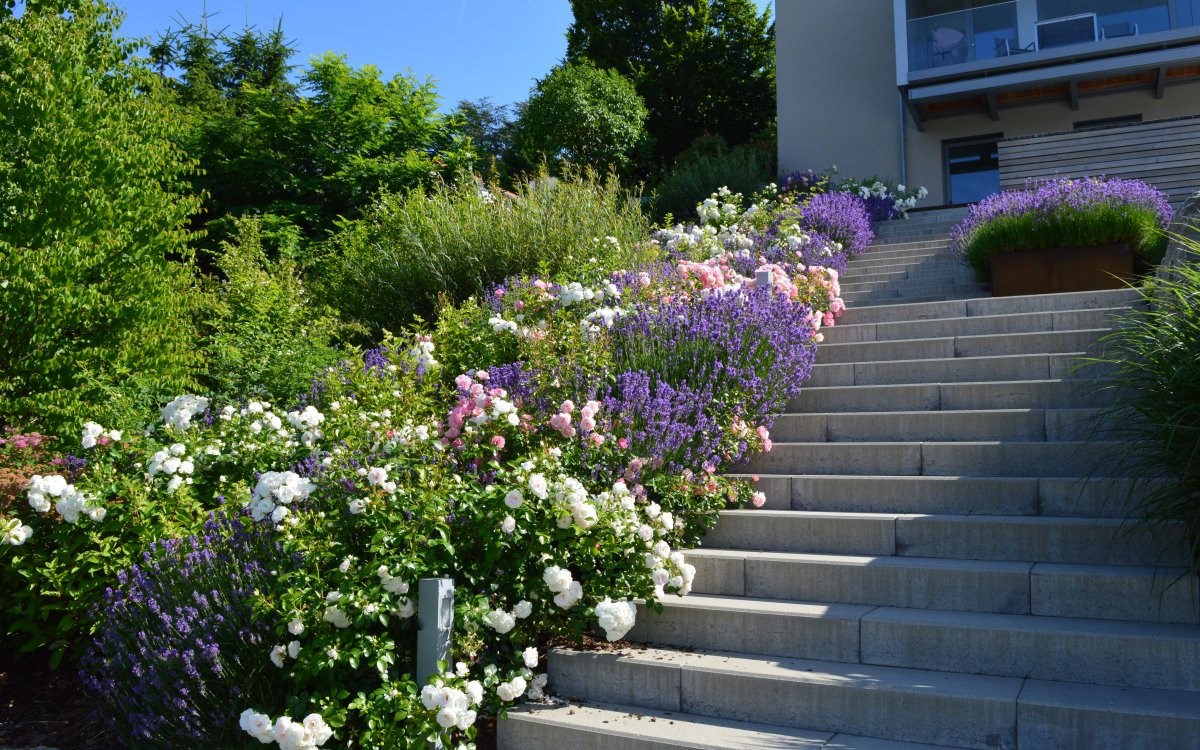 dsc_0159.jpg