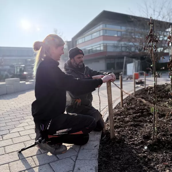 Teamleiter für Herstellung & Pflege von Grünanlagen (m/w/d)