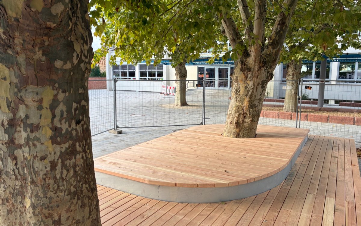 holzdeck_hans-thoma-schule-2.jpeg