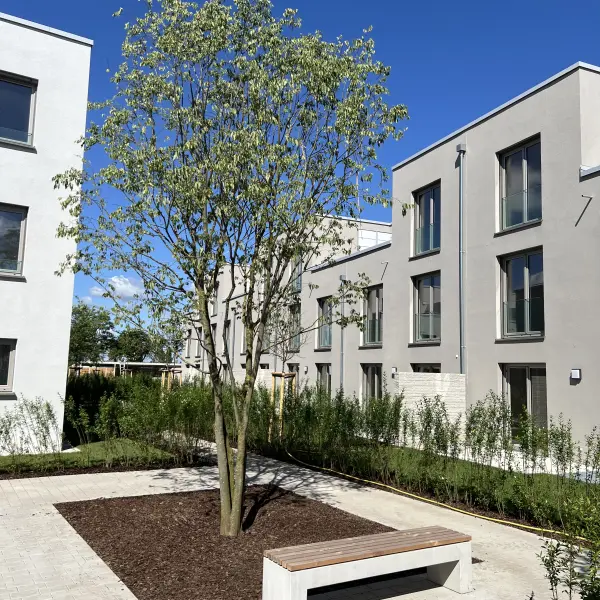 Außenanlage Wohnanlage | Wingertsäckern - Conceptaplan | Edingen-Neckarhausen